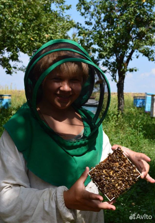 Мёд, сотовый мёд, пыльца, перга, пчелосемьи купить на Зозу.ру - фотография № 3