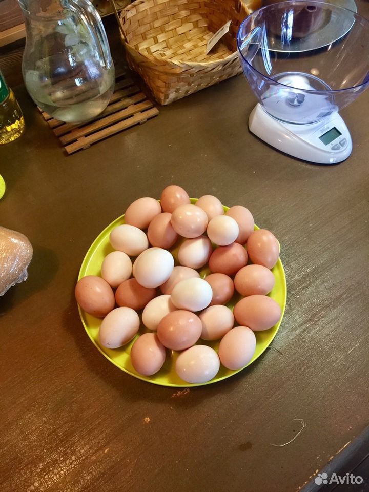 Яйцо куриное деревенское купить на Зозу.ру - фотография № 10