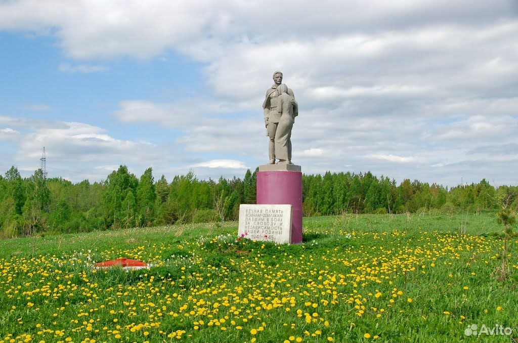 Мшинская ленинградская область лужский. Мшинское сельское поселение Лужского района. Деревня Низовка Лужский район. Низовка Лужского района Ленинградской области. Пос Мшинская Лужский район Ленинградская область.