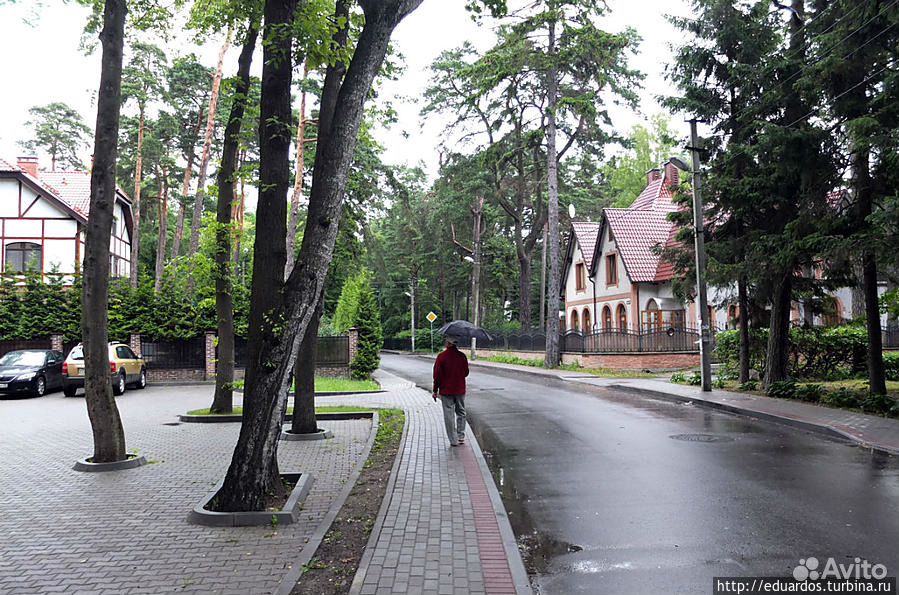 Светлогорск улицы фото