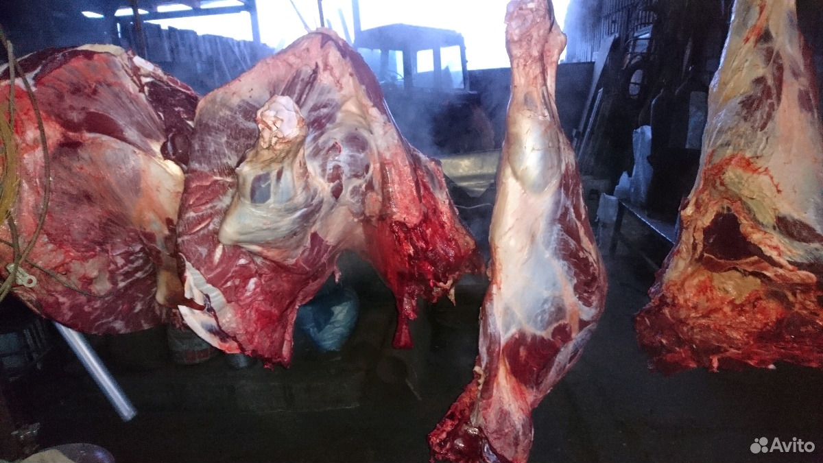 Мясо. говядина купить на Зозу.ру - фотография № 1