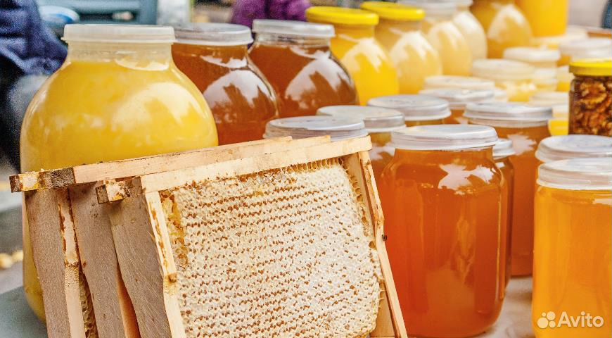 Продаю мёд купить на Зозу.ру - фотография № 4