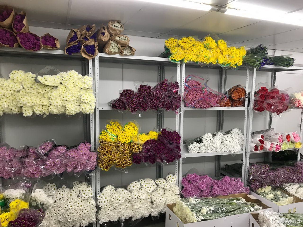 Оптовые дешевые базы цветов. Цветочный склад. Оптовая база цветов. Оптовый склад цветов. Цветы на складе.