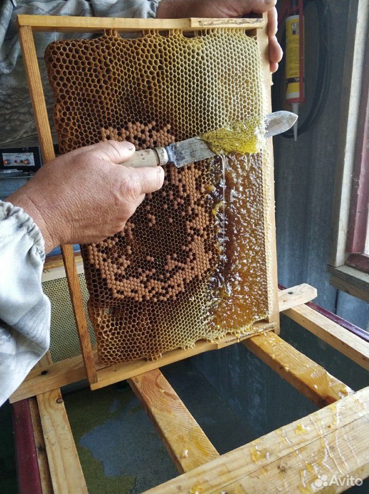 Мед от производителя купить на Зозу.ру - фотография № 1