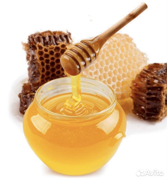 Продаю мёд (разнотравье) купить на Зозу.ру - фотография № 1