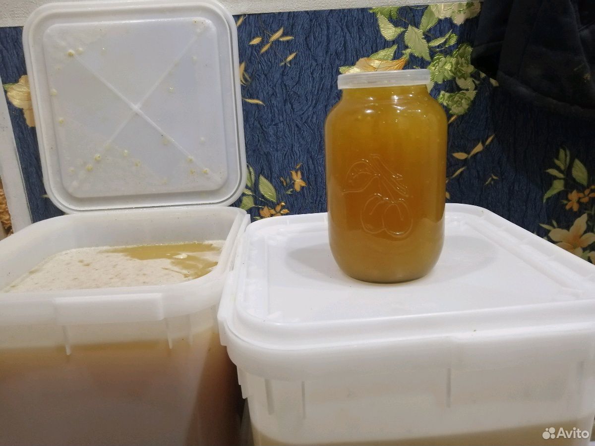 Мёд цветочный, разнотравный (август 2019г) купить на Зозу.ру - фотография № 1