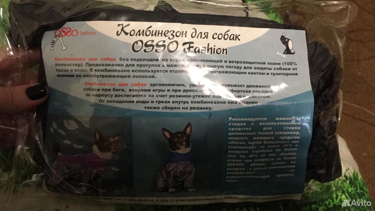 Комбинезон для собак купить на Зозу.ру - фотография № 2