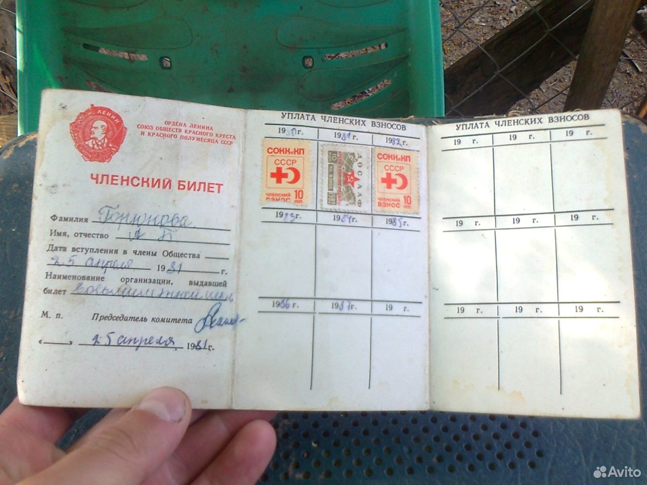   momondo
