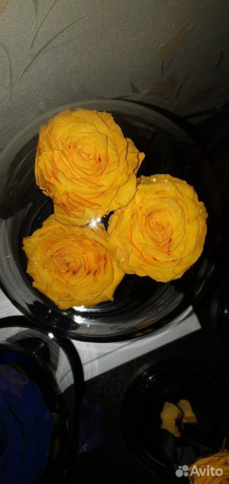 Живая роза в колбе купить на Зозу.ру - фотография № 3
