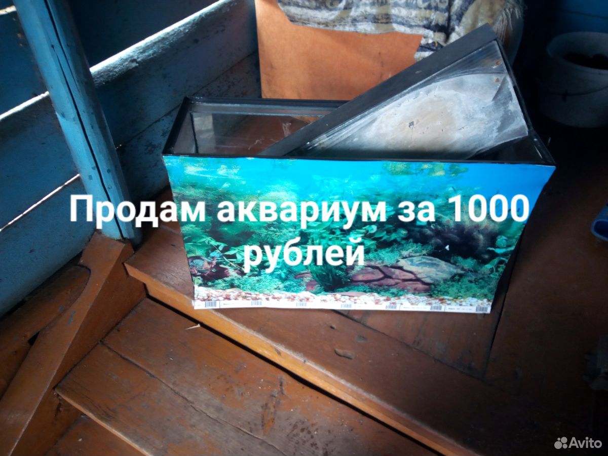 Аквариум купить на Зозу.ру - фотография № 1
