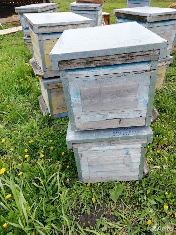 Продам домики для пчел купить на Зозу.ру - фотография № 3