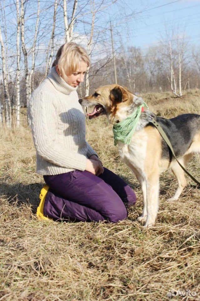 Собака для детей в добрые руки купить на Зозу.ру - фотография № 4