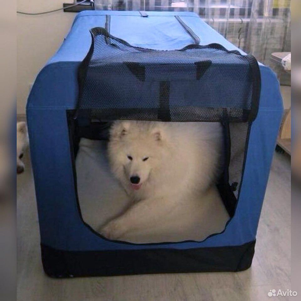 Вольер (палатка ) для собаки купить на Зозу.ру - фотография № 1