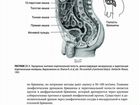 Даугирдас.Руководство по диализу.5-е издание.PDF объявление продам