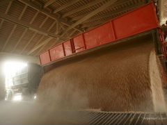 Пшеница от 10 тонн