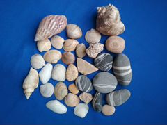 Морские раковины и камни для аквариума