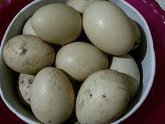 Яйца индоутиные