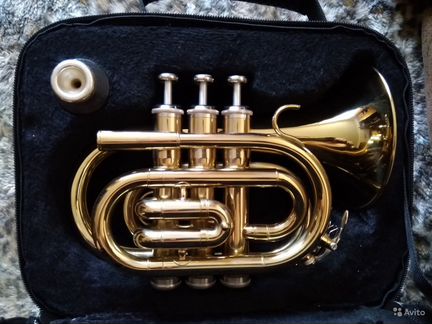 Карманная труба (Pocket trumpet) 