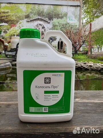Колосаль Про