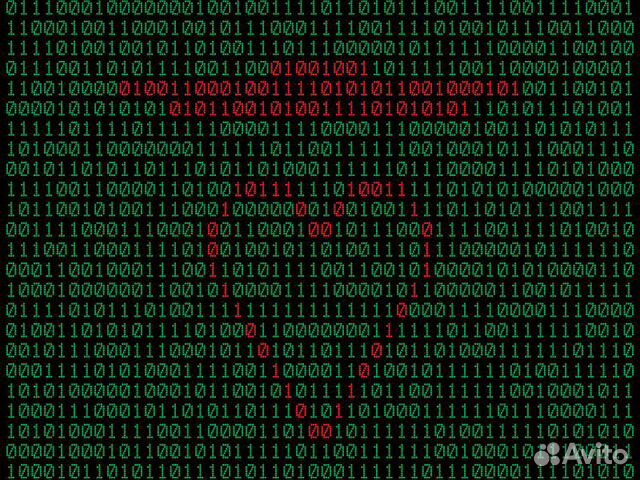 Помощь студентам в программировании и информатике