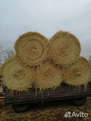 Солома Пшеничная, Овсяная