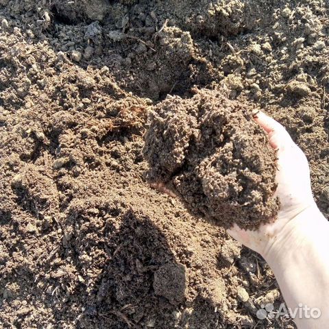 Навоз.перегной коровий