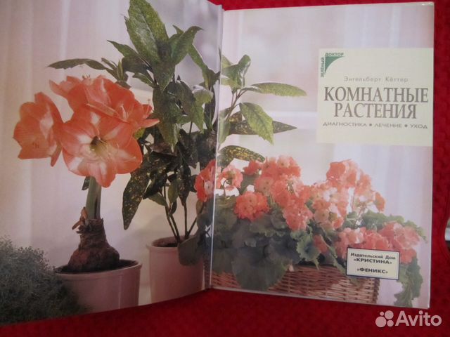 Комнатные растения/книга в отличном состоянии Комнатные растения/книга в отличном состоянии