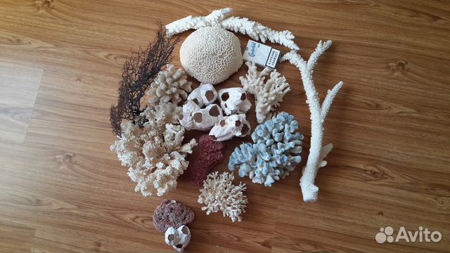 Кораллы натуральные новые Кораллы натуральные новые