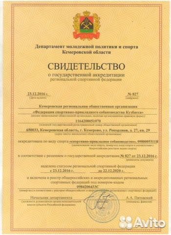 Дрессировка собак