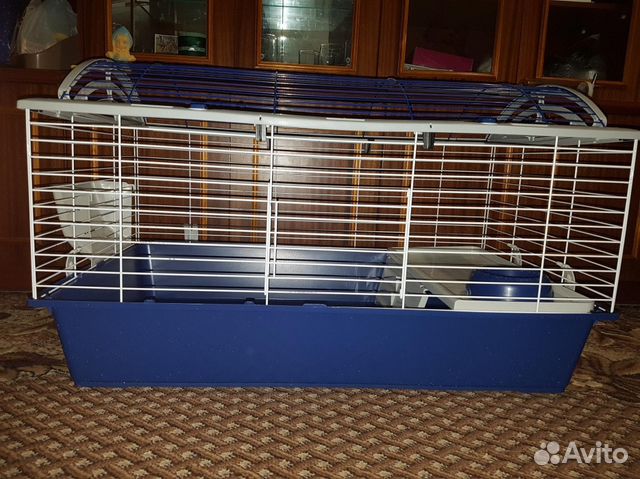 Клетка для грызунов очень большая