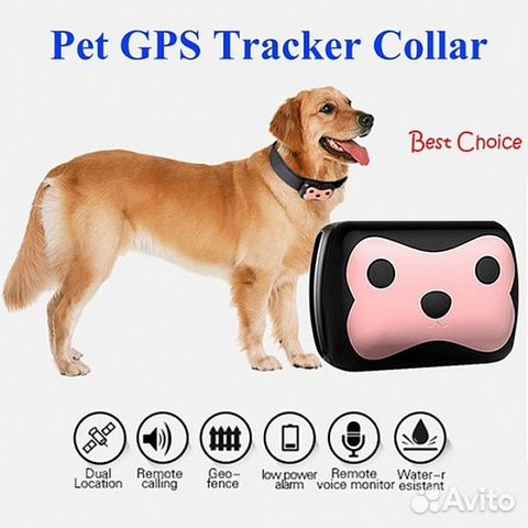 GPS ошейник - треккер для собак и кошек