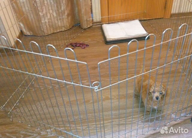 Вольер Вольер