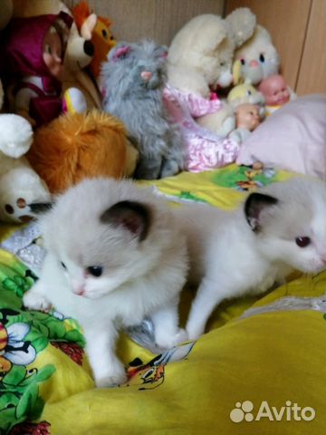 Малыши кукольные на праздники Малыши кукольные на праздники