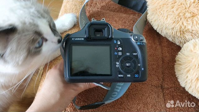 Canon eos 1100D