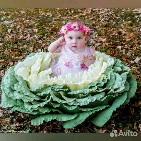 Гнездышко капуста для фото