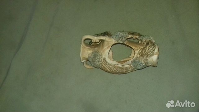 Декорация для аквариума Декорация для аквариума