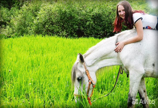 Аренда лошади купить на Зозу.ру - фотография № 9