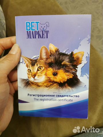 Продаю собаку купить на Зозу.ру - фотография № 4