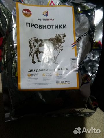 Корова два отёла купить на Зозу.ру - фотография № 4