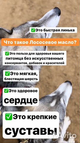 Лососевое масло для собак купить на Зозу.ру - фотография № 5