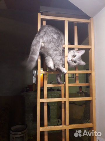 Вязка