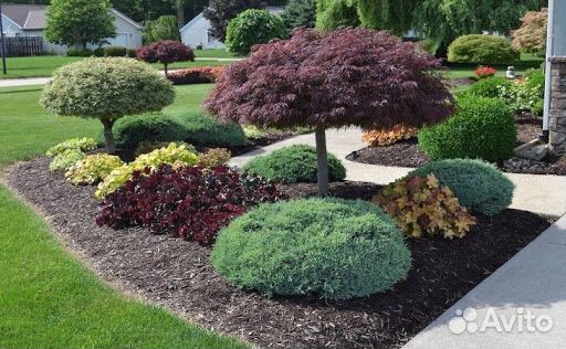 Ландшафтный работы, проекты, автополив, газон