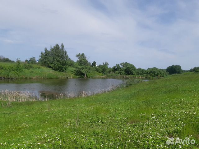 Охранник на пруд