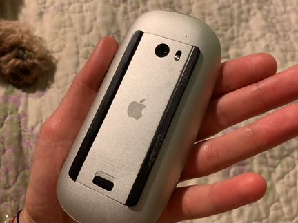 Мышь Apple