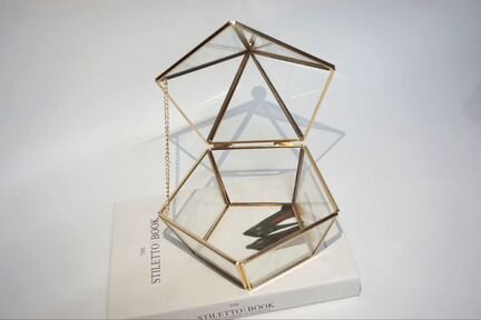 Шкатулка Флорариум аквариум террариум для цветов