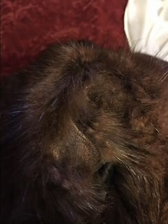 Шуба из сурка р.58-60