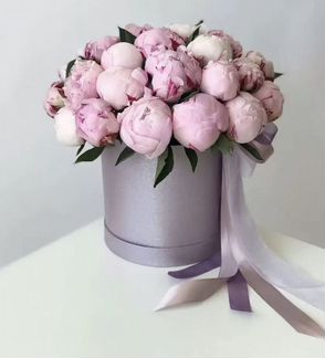 Букет пионов в коробке 11 15 21 25 31