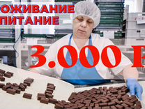 Работа вахта семейная пара 15 15