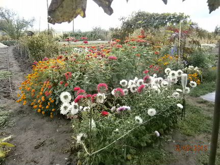 Дача 20 м² на участке 10 сот.