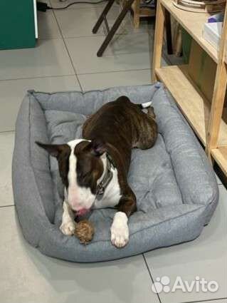 Лежанка для собак и кошек